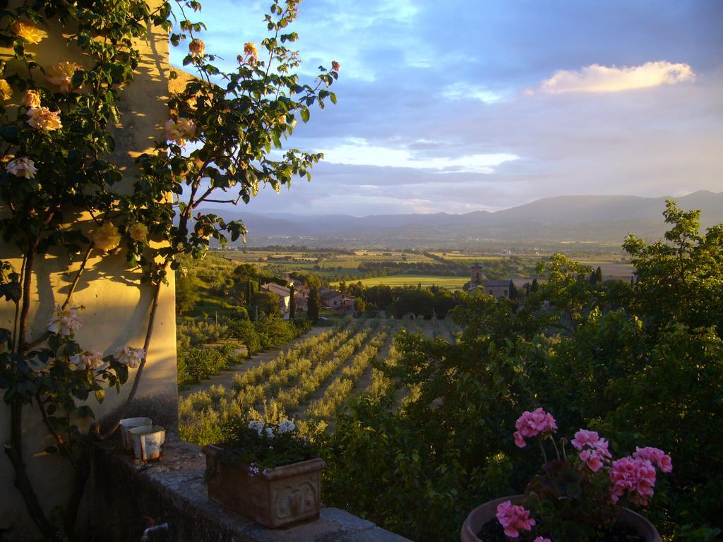 Villa Della Genga Country Houses Poreta Екстериор снимка